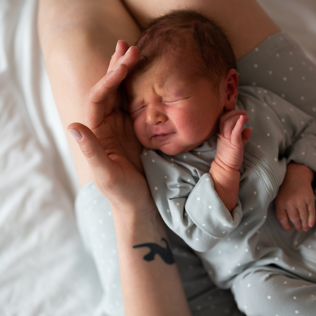 Facebook Ads NEW - 2025-01-24T160716.240